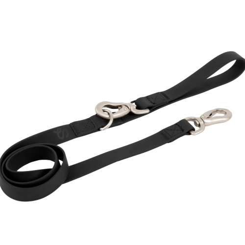City Dog Leash