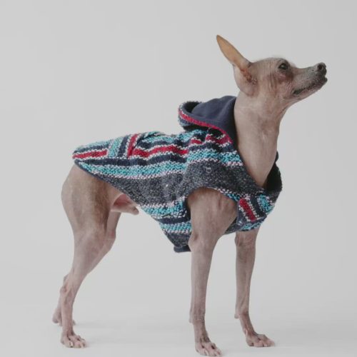🌊 Baja Dog Poncho – Warm & Stylish Southwestern-Inspired Jacket with Poop Bag Pocket (Navy)