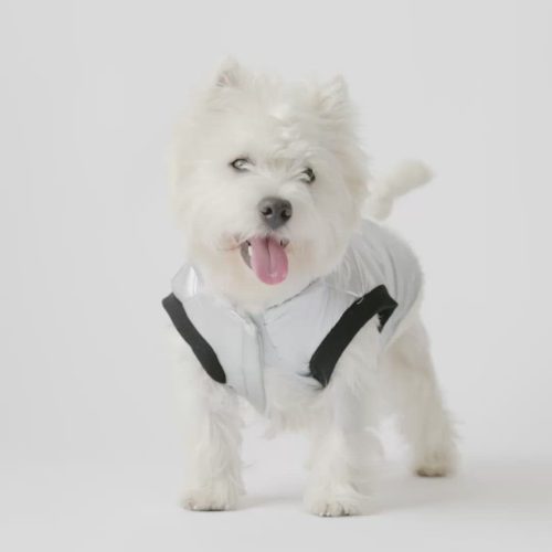 ✨ Emma Dog Jacket – Shiny Silver Water-Resistant Winter Coat with Sherpa Lining