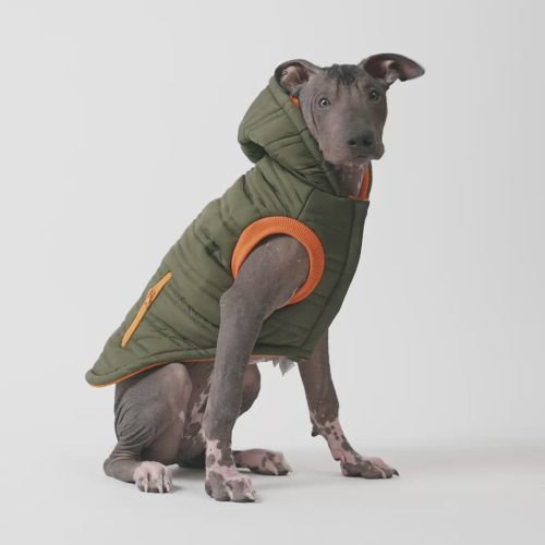 🌲 Noah Dog Jacket – Quilted Water-Resistant Winter Coat with Harness Access (Cypress Green)
