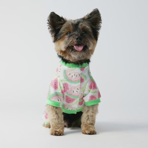 🍉 Watermelon Fruit Dog Pajamas – Soft & Cozy Velcro Onesie for Pets