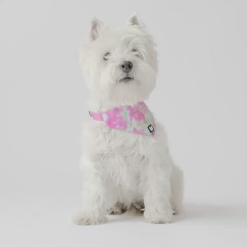 🌸🐶 Pink Tie-Dye Poplin Dog Leash – Durable, Secure & Stylish