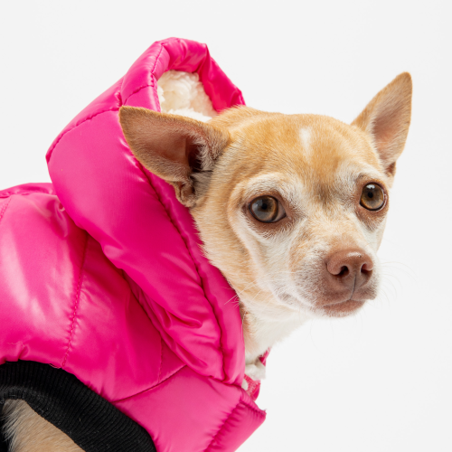 🍓 Emma Dog Jacket – Shiny Raspberry Water-Resistant Winter Coat with Sherpa Lining