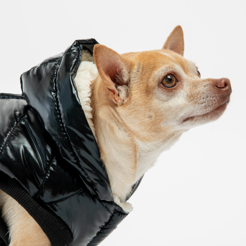 🖤 Emma Dog Jacket – Shiny Black Water-Resistant Winter Coat with Sherpa Lining