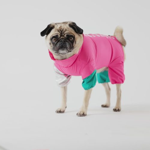 🎀 Ricki Dog Tracksuit – Pink Waterproof One-Piece with Harness Access & Zipper Closure