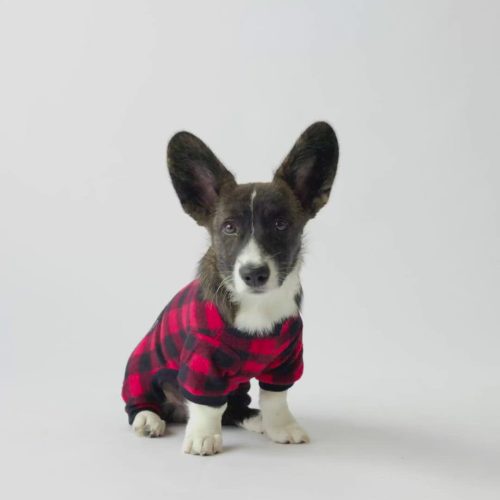 🔴 Red Plaid Dog Pajamas – Cozy & Soft Pet Onesie for Ultimate Comfort