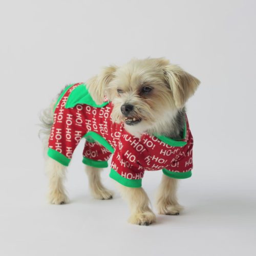 🎅 Matching Human Christmas Onesie – Ho-Ho! Festive Holiday Pajamas