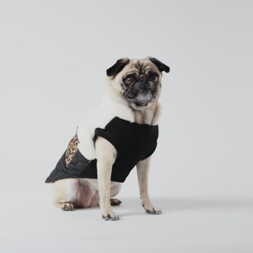 🔥 Loki Quilted Dog Jacket – Stylish Sherpa Coat with Leopard Pocket & Waste Bag Dispenser