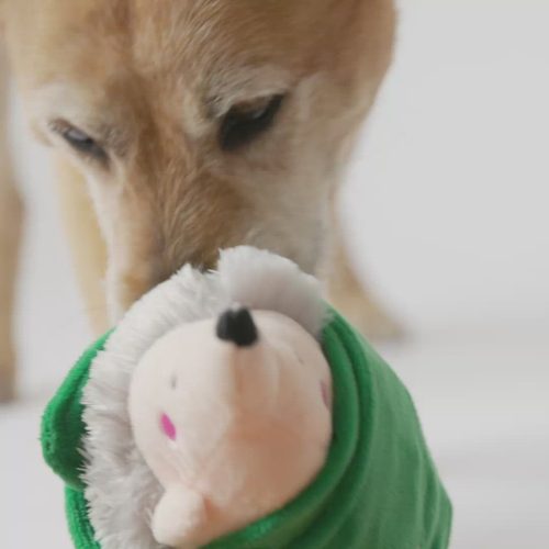 🦔 Sleeping Porcupine Dog Toy – Plush 2-in-1 Squeaker & Crinkle Playtime Fun!