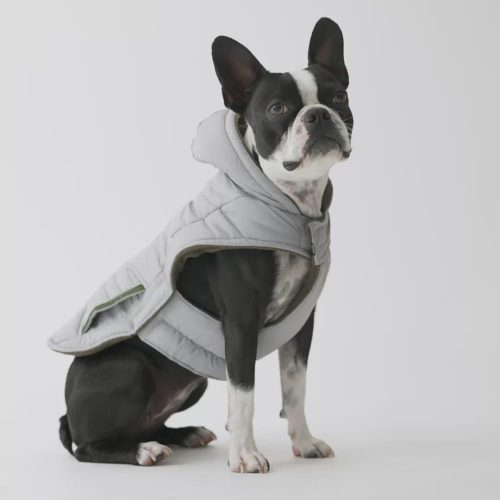 🧥 Jackson Dog Jacket – Grey Water-Resistant Coat with Cold-Alert™ Patch & Reflective Safety Tape