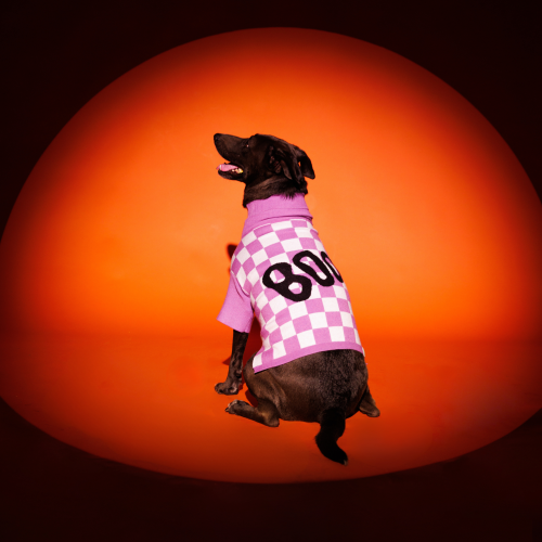 Purple People Eater Pet Sweater