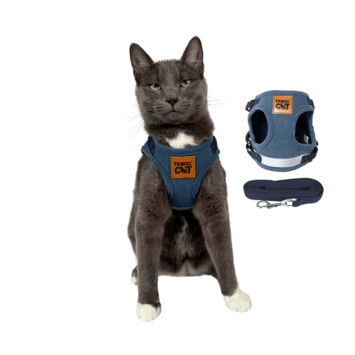 "The Jean Jacket" Limited Edition Cat Harness & Leash Set
