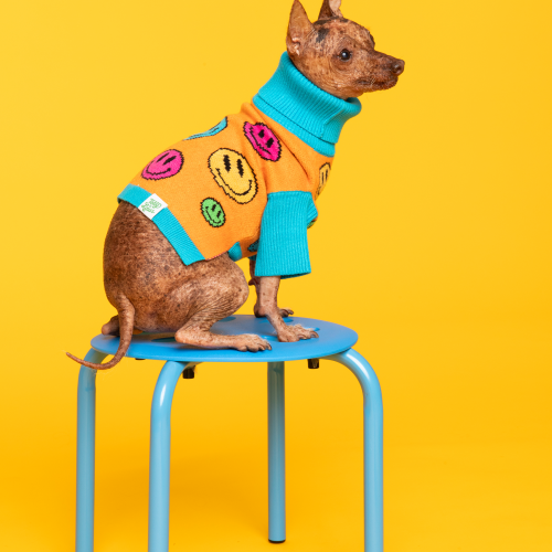 How Are You Feeling? Pet Sweater