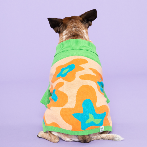 Peach Ring Pet Sweater