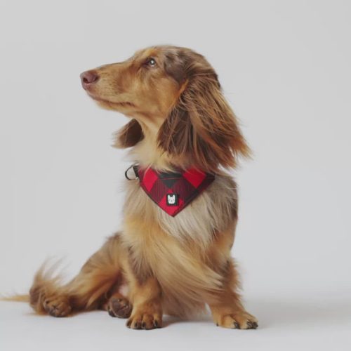 🎄🐶 Red Plaid Poplin Dog Leash – Stylish, Durable & Secure