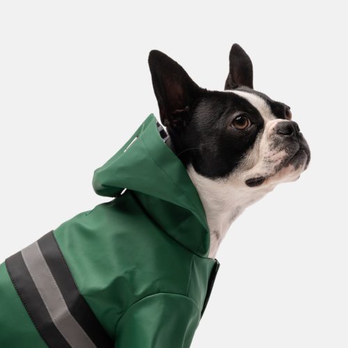 ☔ Aden Waterproof Dog Raincoat – Green Vinyl Rain Jacket with Reflective Strip & Poop Bag Dispenser