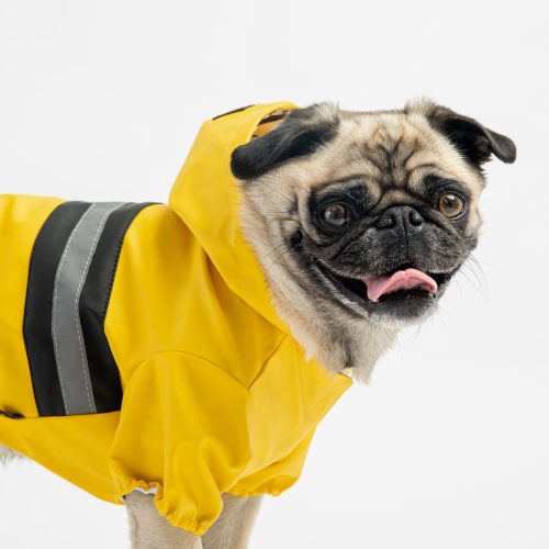 ☔ Aden Waterproof Dog Raincoat – Yellow Vinyl Rain Jacket with Reflective Strip & Poop Bag Dispenser
