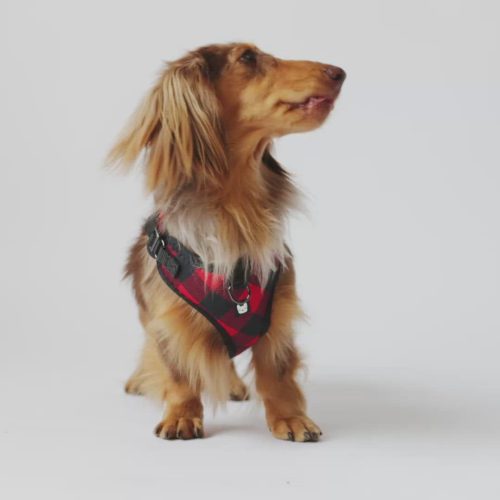 ❤️🐶 Red Plaid Poplin Dog Harness – Adjustable, Secure & Stylish