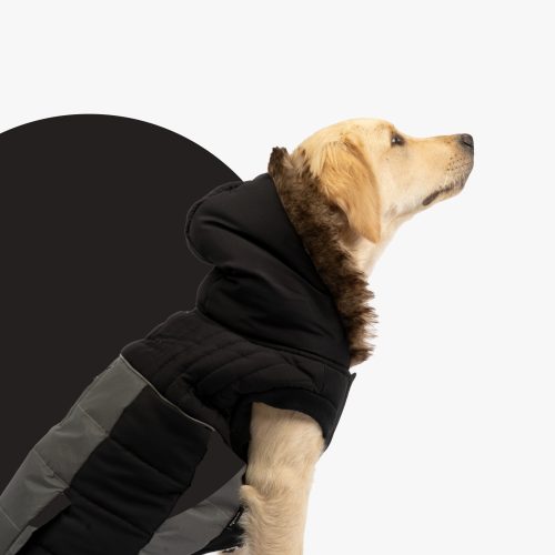 🐶 Bailey Dog Jacket – Black | Quilted Winter Coat with Sherpa Lining & Poop Bag Dispenser