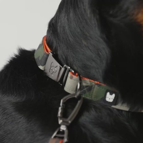 Poplin Camo Dog Leash – Durable Leash with Padded Handle & Secure Locking Clasp