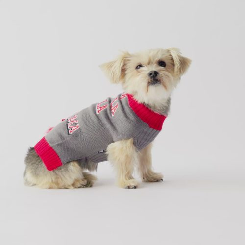🎄 Ugly Christmas Dog Sweater – Fa La La Llama Festive Holiday Knit Pullover