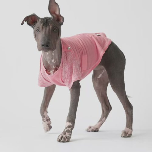 🎀 Urban Fit Dog Tee – Pink Stylish Raglan Sleeve T-Shirt for Dogs