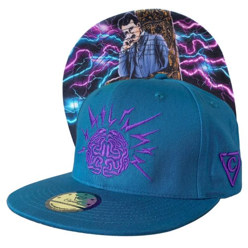 Tesla Snapback - Blue