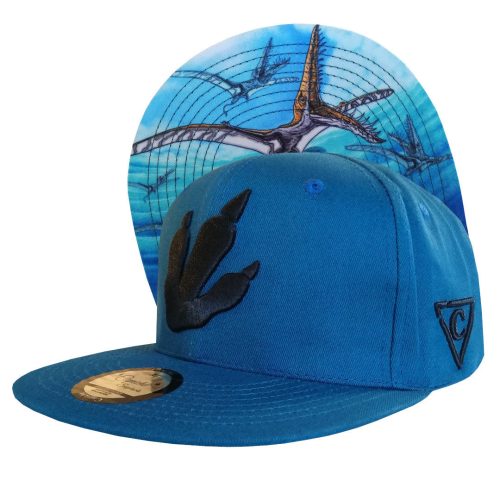Rhamphor Snapback - Blue