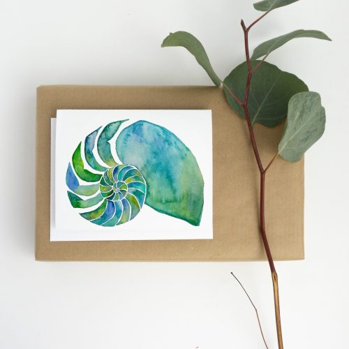 Nautilus - Friendship - Encouraging Card - Chambered Nautilus
