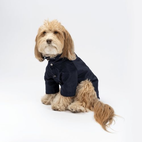 🌧️🐶 Jean-Paul Dog Raincoat – High Neck Waterproof Jacket with Adjustable Collar & Poop Bag Dispenser