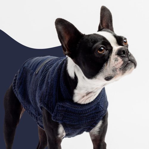💙 Mia Dog Sweater – Cozy Blue Knit Pullover with Poop Bag Dispenser