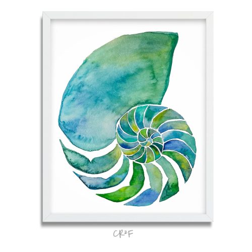 Nautilus Art Print - Chambered Nautilus Painting