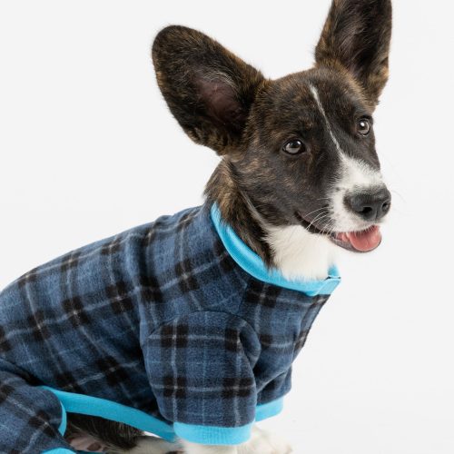 🔵 Blue Plaid Dog Pajamas – Soft & Cozy Pet Onesie for Ultimate Comfort