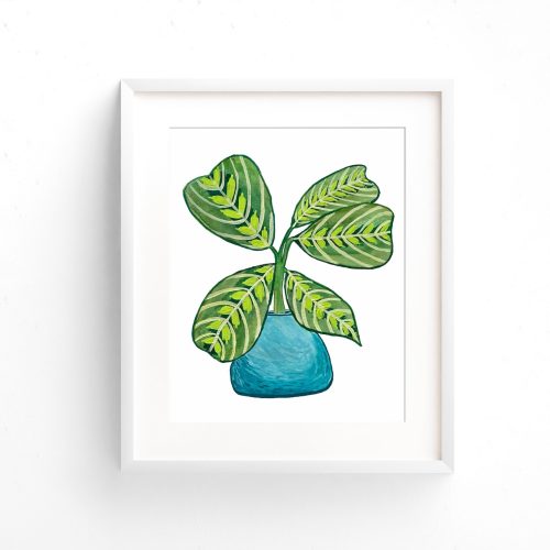 Prayer Plant Art Print - Houseplant painting
