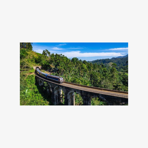 Ella Private Day Tour With Train Ride