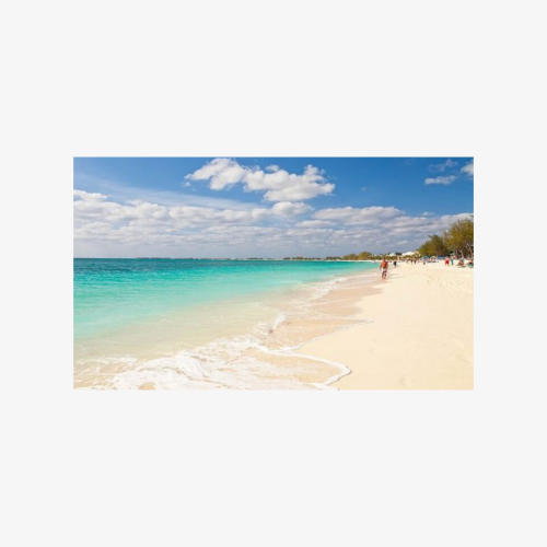 Grand Cayman Private Customized Bus Tour