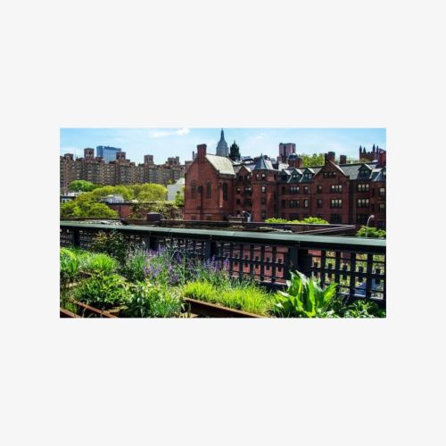 Highline and Chelsea Markets Tour