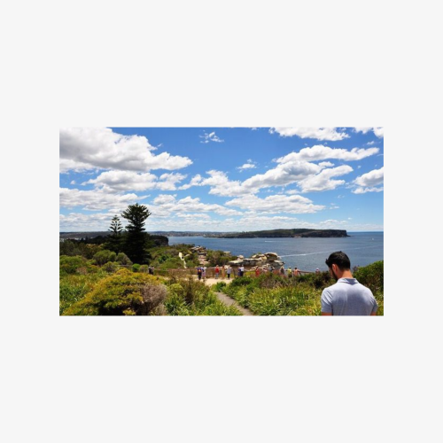 Sydney Sightseeing Guided Bus Tour