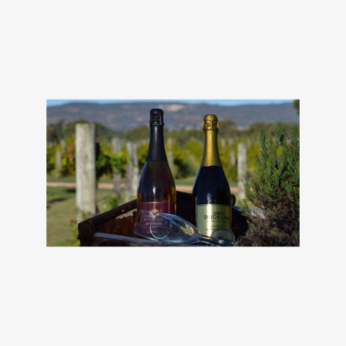 Wineries Bus Tours