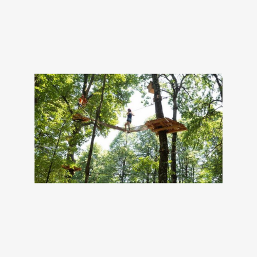Adult Daily ticket for Adventure Park in Gravedona